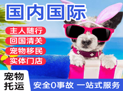 大庆萨尔图机场邮寄国际宠物托运 【国